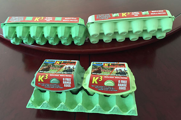 Hot sell light green/dark green 6/12 egg carton/box/tray